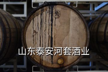 山东泰安河套酒业