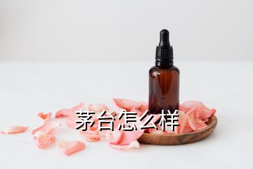 茅台怎么样