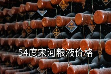 54度宋河粮液价格