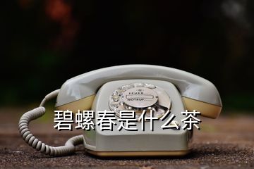 碧螺春是什么茶