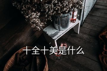 十全十美是什么