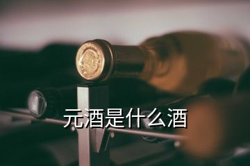 元酒是什么酒