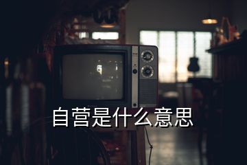 自营是什么意思