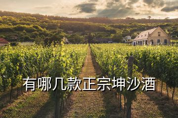 有哪几款正宗坤沙酒