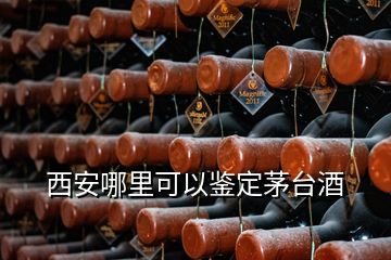 西安哪里可以鉴定茅台酒