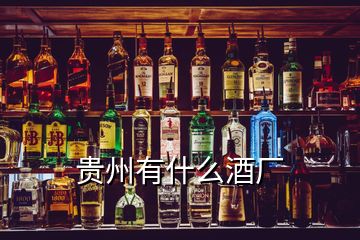 贵州有什么酒厂