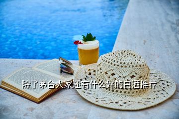 除了茅台大家还有什么好的白酒推荐