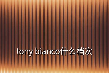 tony bianco什么档次