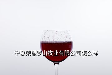 宁夏荣振罗山牧业有限公司怎么样