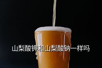 山梨酸钾和山梨酸钠一样吗