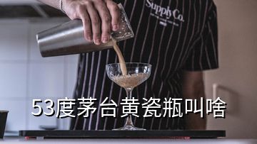 53度茅台黄瓷瓶叫啥