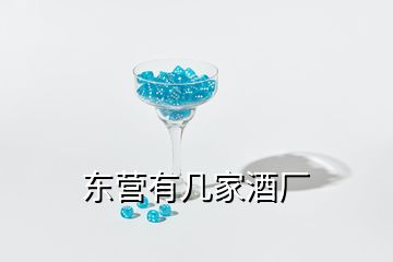 东营有几家酒厂