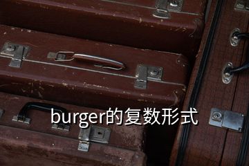 burger的复数形式