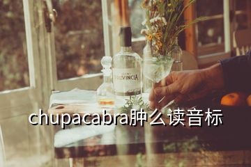 chupacabra肿么读音标