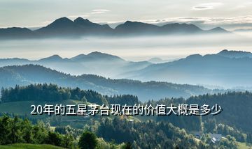 20年的五星茅台现在的价值大概是多少