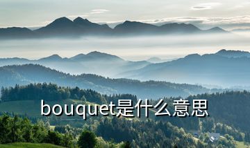 bouquet是什么意思