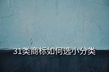 31类商标如何选小分类