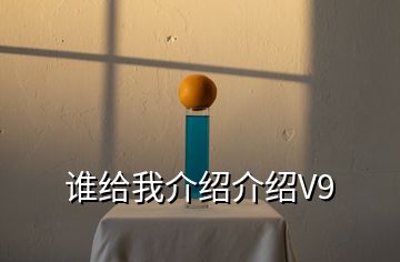 谁给我介绍介绍V9