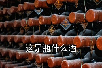 这是瓶什么酒