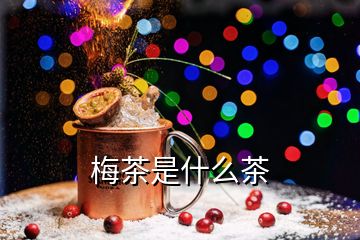 梅茶是什么茶