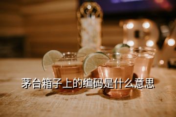 茅台箱子上的编码是什么意思