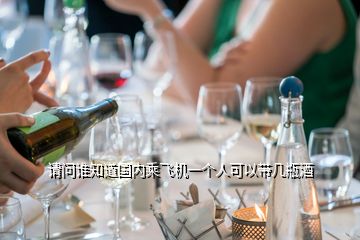 请问谁知道国内乘飞机一个人可以带几瓶酒