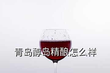 青岛醇岛精酿怎么样