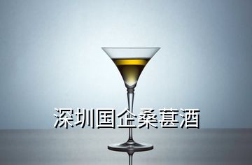 深圳国企桑葚酒