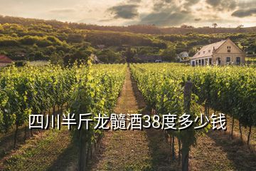 四川半斤龙髓酒38度多少钱