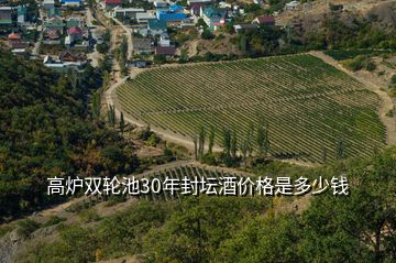 高炉双轮池30年封坛酒价格是多少钱