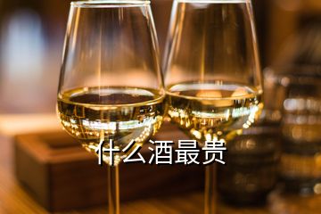 什么酒最贵