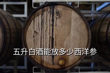 五升白酒能放多少西洋参