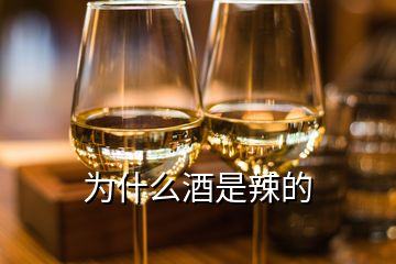 为什么酒是辣的