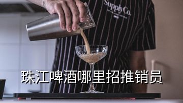 珠江啤酒哪里招推销员