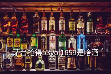 茅台抢得53vol1659是啥酒