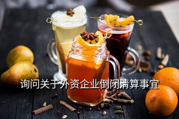 询问关于外资企业倒闭清算事宜