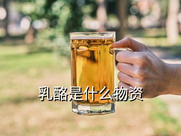 乳酪是什么物资