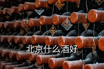 北京什么酒好