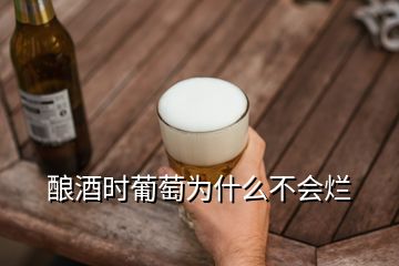 酿酒时葡萄为什么不会烂