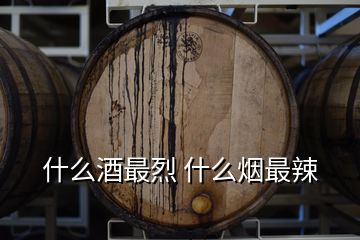 什么酒最烈 什么烟最辣