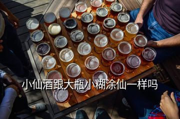 小仙酒跟大瓶小糊涂仙一样吗