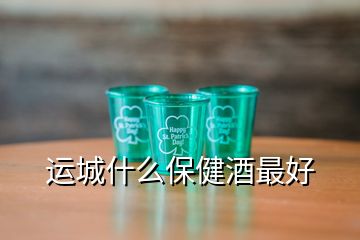 运城什么保健酒最好