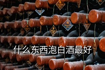 什么东西泡白酒最好