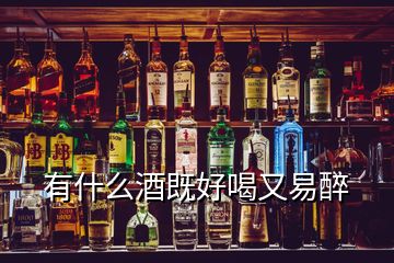 有什么酒既好喝又易醉