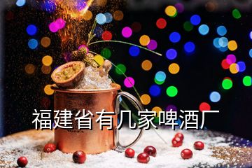 福建省有几家啤酒厂