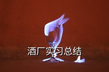 酒厂实习总结