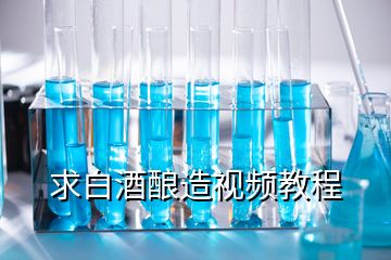 求白酒酿造视频教程