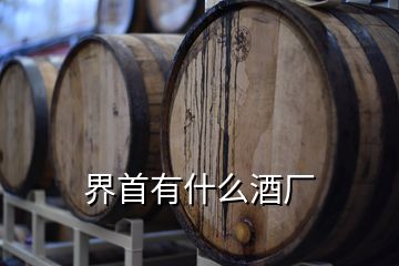 界首有什么酒厂