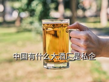 中国有什么大酒厂是私企