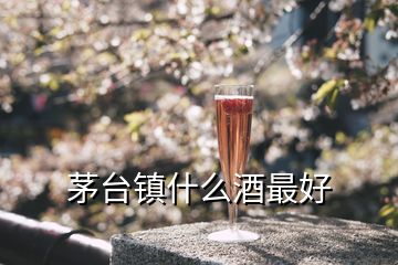 茅台镇什么酒最好